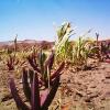 Water Resources